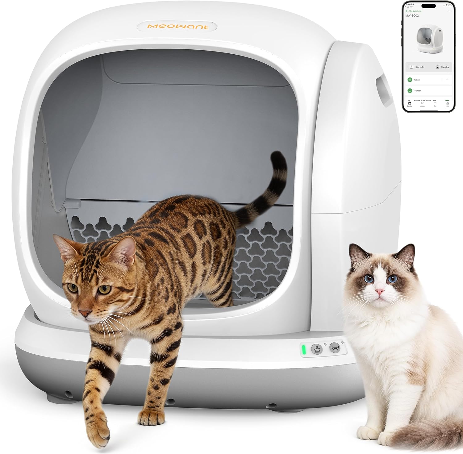 Smart Kitty Litter Oasis